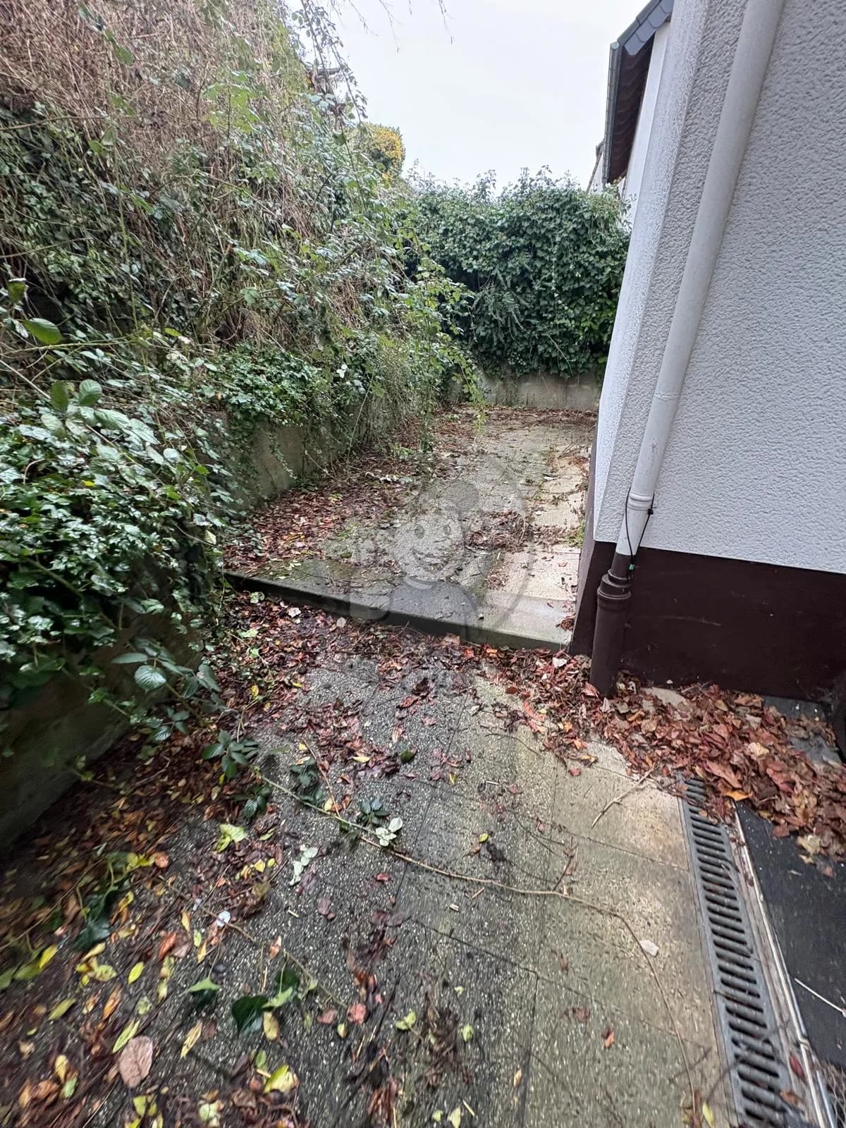 Nachher — hausraeumung krefeld