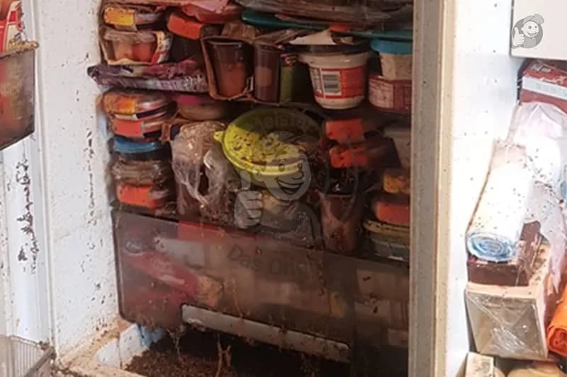 Vorher — messie wohnung dresden