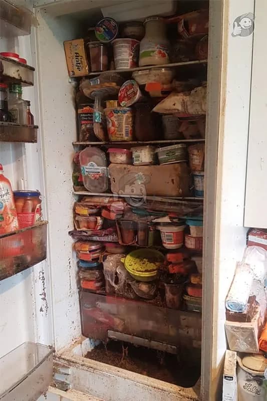 Vorher — messie wohnung dresden