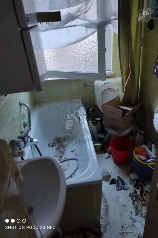 Vorher — messie wohnung dresden