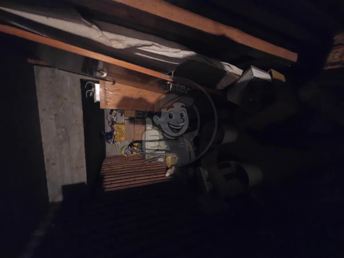 Vorher — wohnungsaufloesung solingen