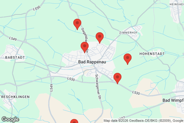 Karte mit Entrümpelungsaufträgen in Bad Rappenau