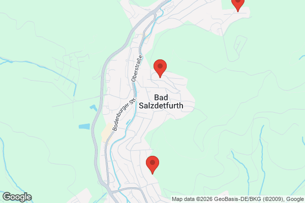 Karte mit Entrümpelungsaufträgen in Bad Salzdetfurth