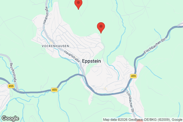 Karte mit Entrümpelungsaufträgen in Eppstein