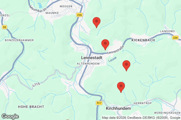 Karte mit Entrümpelungsaufträgen in Lennestadt