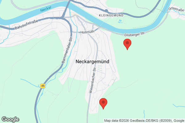 Karte mit Entrümpelungsaufträgen in Neckargemünd