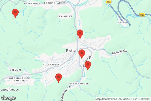 Karte mit Entrümpelungsaufträgen in Plettenberg