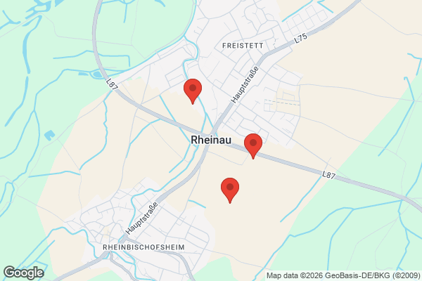 Karte mit Entrümpelungsaufträgen in Rheinau