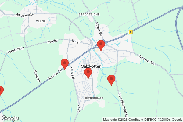 Karte mit Entrümpelungsaufträgen in Salzkotten