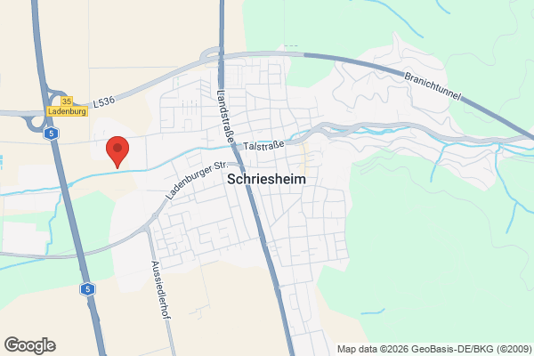Karte mit Entrümpelungsaufträgen in Schriesheim